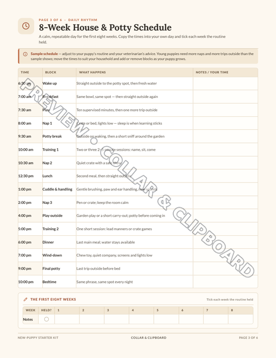Eight-week house and potty schedule page with a sample daily routine and shift-your-own-times guidance