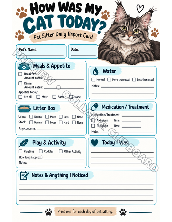 Cat daily report card titled How Was My Cat Today?, with spaces for the pet's name and date and fill-in sections for meals and appetite, water, litter box, medication or treatment, play and activity, Today I Was and Notes & Anything I Noticed, illustrated with a long-haired Maine Coon cat in the top corner